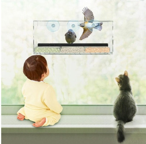 Crystal-Clear Acrylic Bird Feeder – Durable & Stylish Design