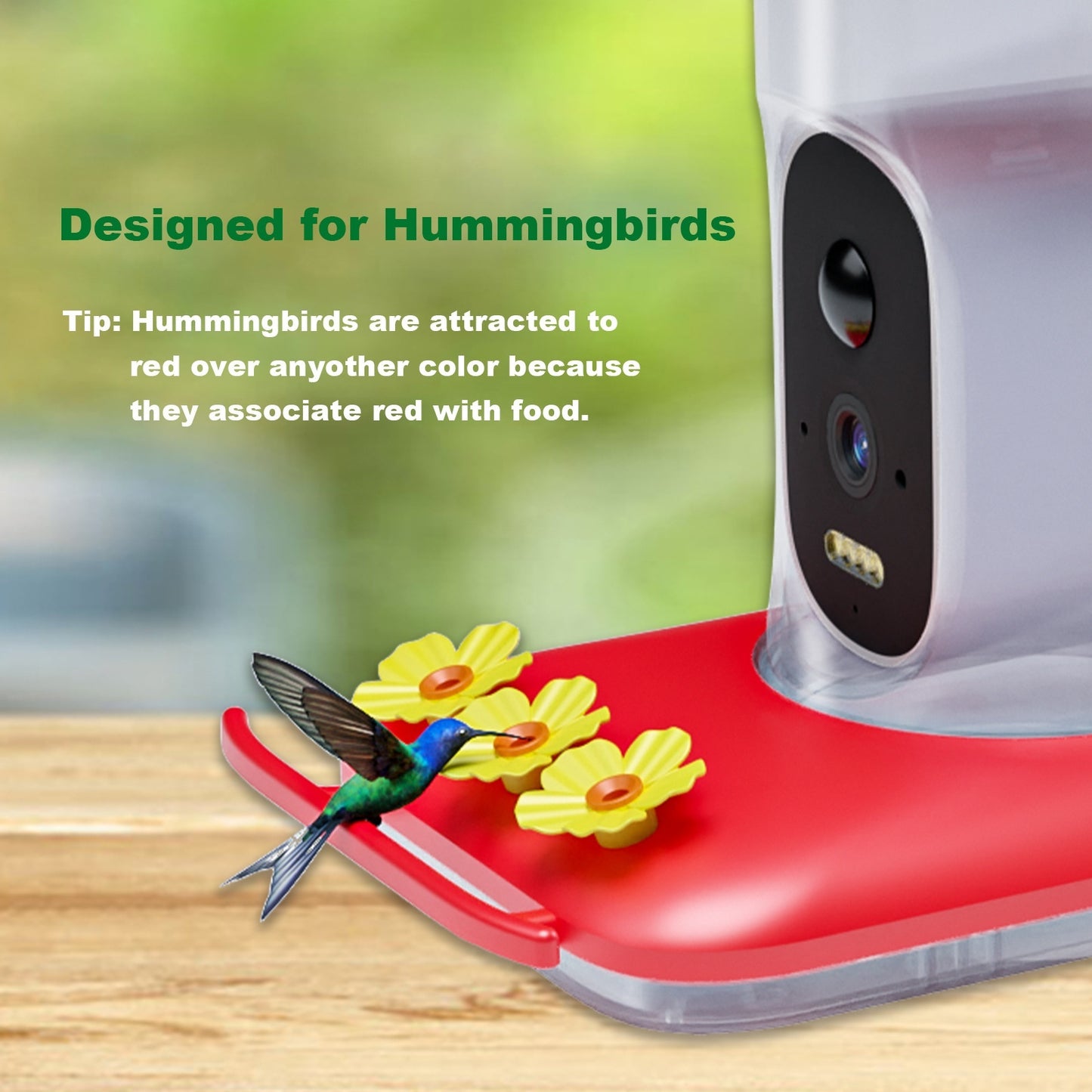 Smart HD Hummingbird Feeder – 5MP Camera for Clear Outdoor Viewing