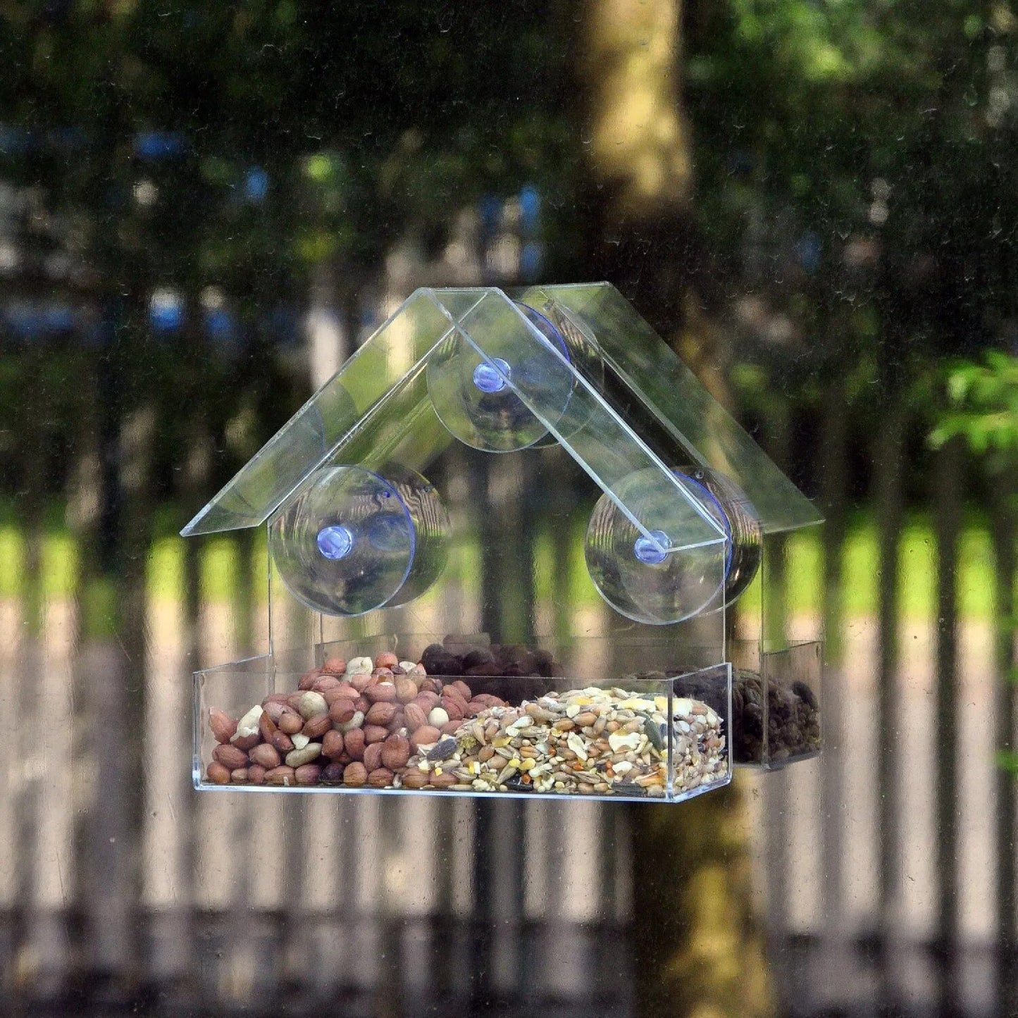 Bird Feeder Acrylic