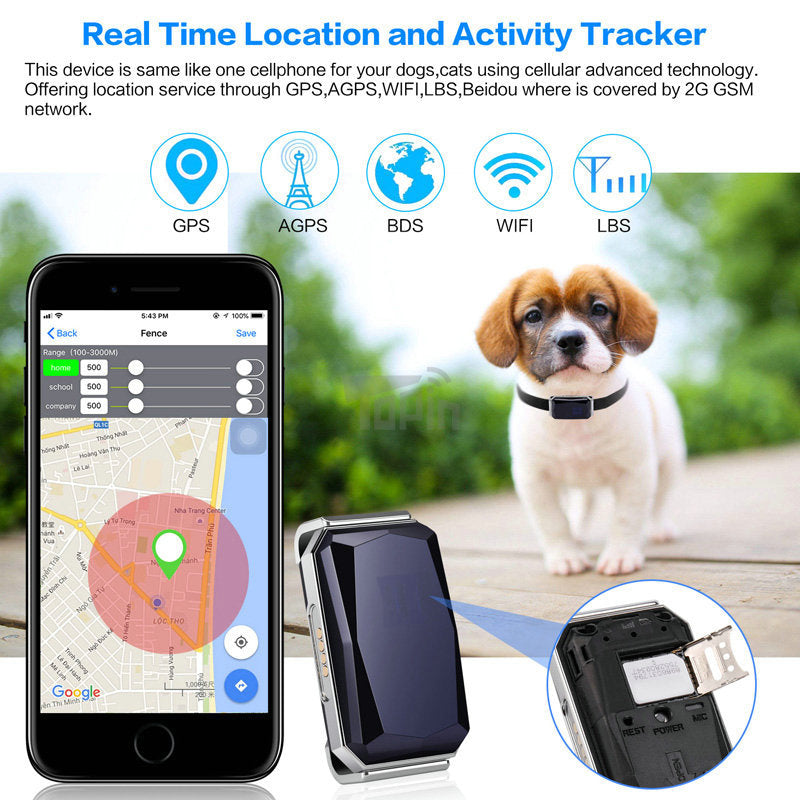 GPS Dog Collar Tracker – Real-Time Location & Safety for Your Pet