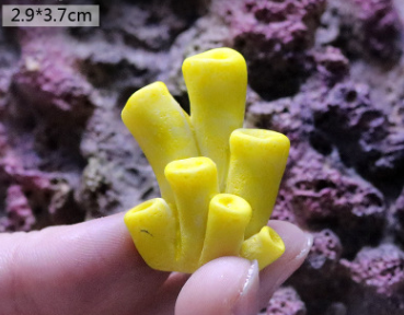 Fish Tank Decoration, Sea Water Tank, Starfish Resin Ornaments - Freshmodern Pet Store