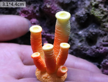 Fish Tank Decoration, Sea Water Tank, Starfish Resin Ornaments - Freshmodern Pet Store