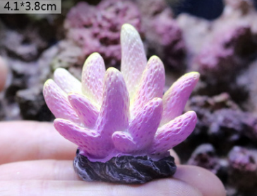 Fish Tank Decoration, Sea Water Tank, Starfish Resin Ornaments - Freshmodern Pet Store