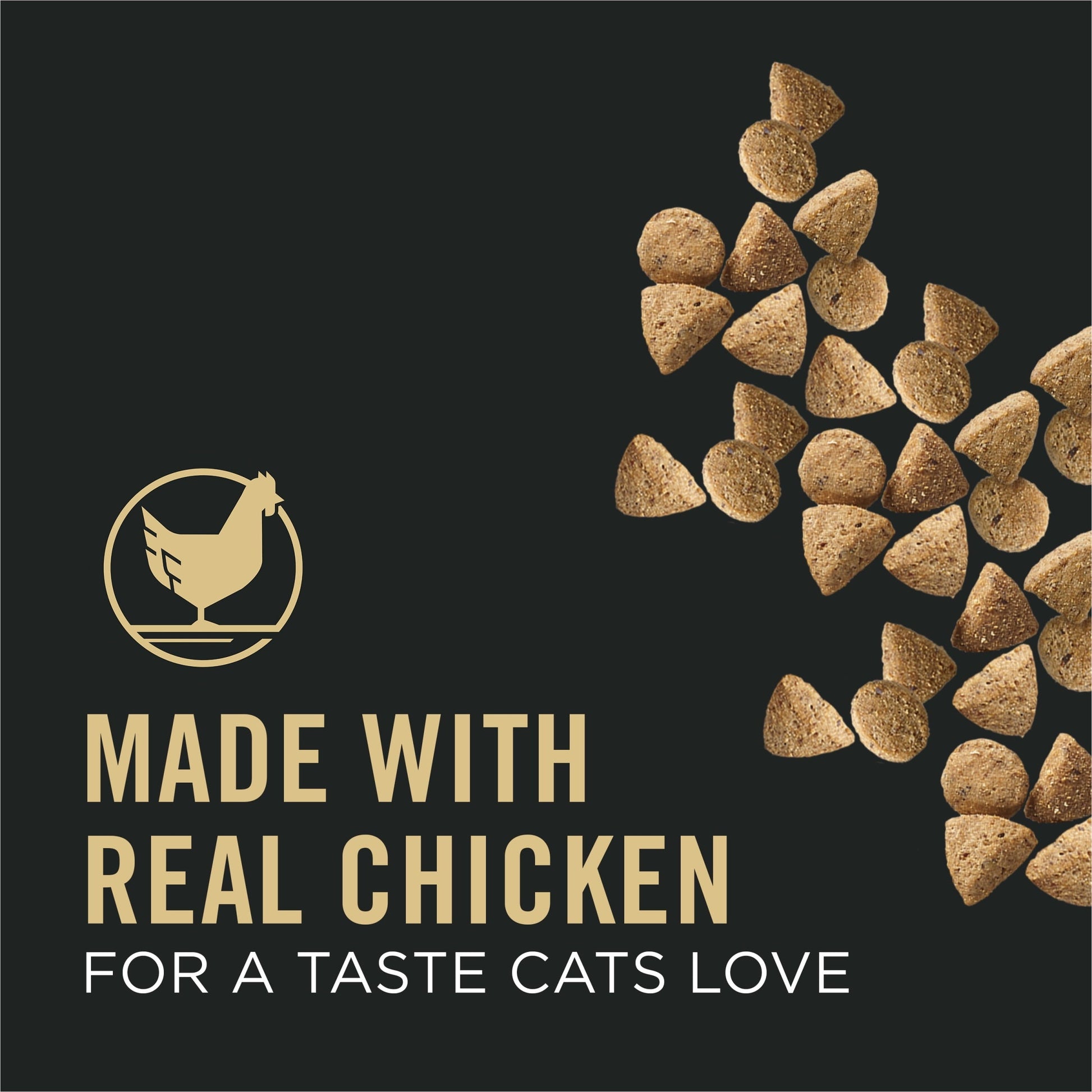 Vital Systems Dry Cat Food | Chicken & Egg Recipe, 3 lb Bag