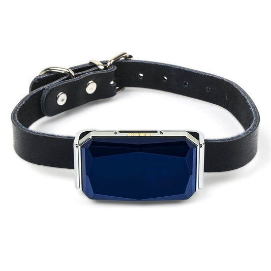 GPS Dog Collar Tracker – Real-Time Location & Safety for Your Pet