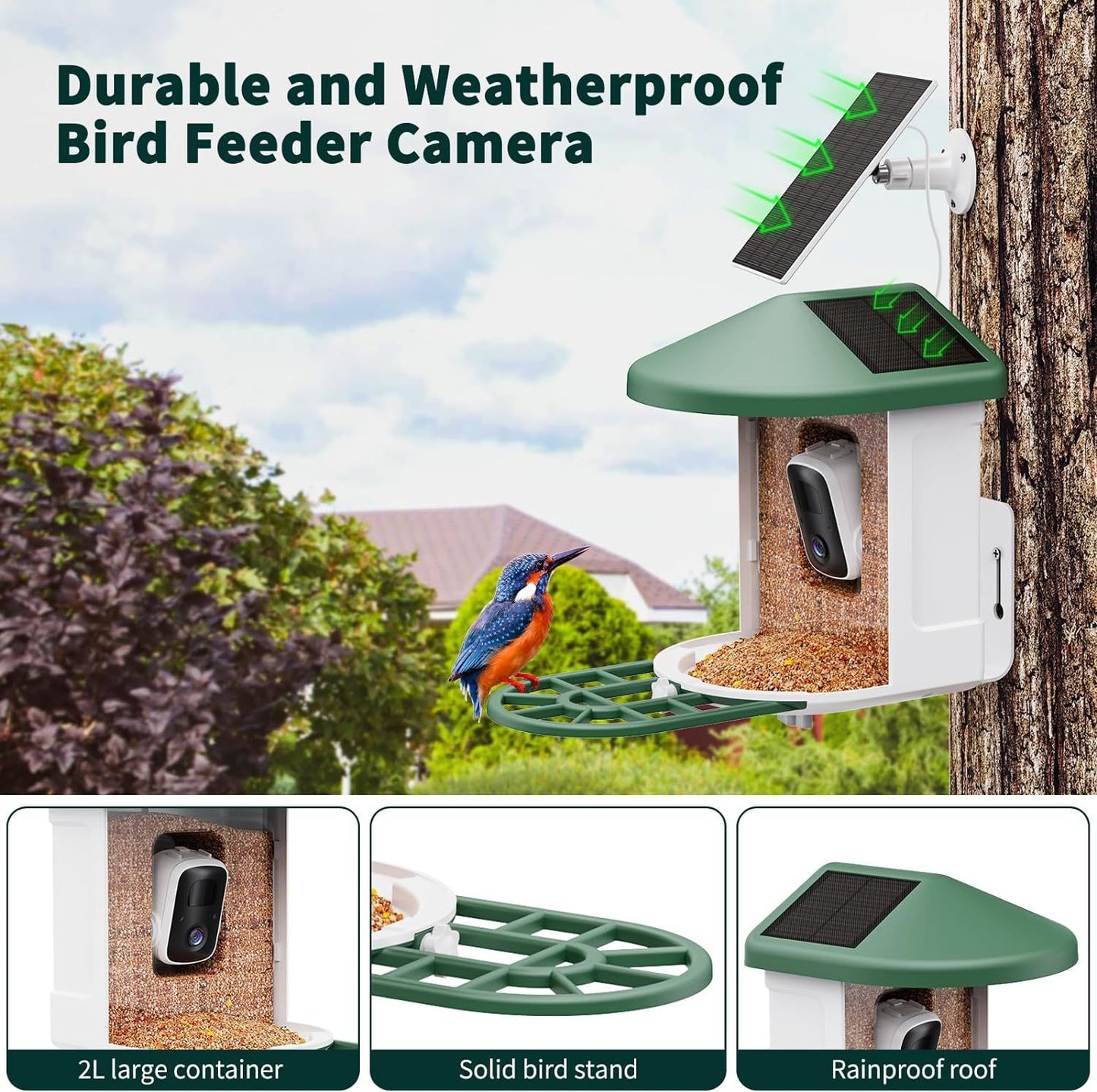 Smart Wireless Feeder with Built-in Surveillance Camera