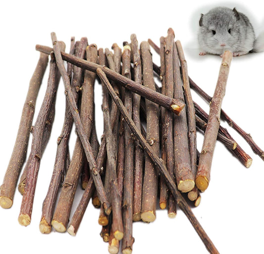 Apple Sticks Natural Organic Pet Snacks Chew Toys Rabbits Hamster Guinea Pig Squirrels Chinchilla Food Gerbil and Other Small Animal Pets for  (200G)