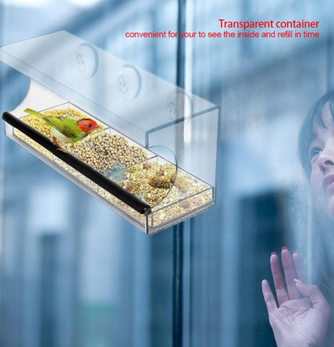 Crystal-Clear Acrylic Bird Feeder – Durable & Stylish Design