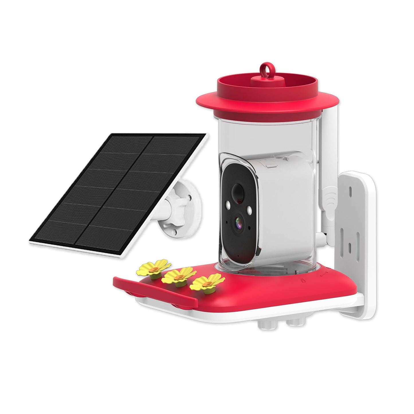 Smart HD Hummingbird Feeder – 5MP Camera for Clear Outdoor Viewing