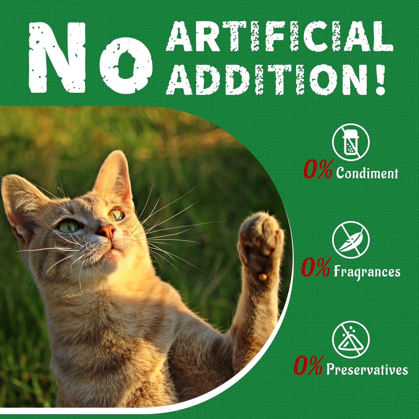 Just Try 2PCS Cat Grass Treats with Salmon & Catnip | Hairball Control and Training Treats | Teeth Cleaning Snack Reduce Plaque (13.4Oz, Salmon & Catnip Flavor)