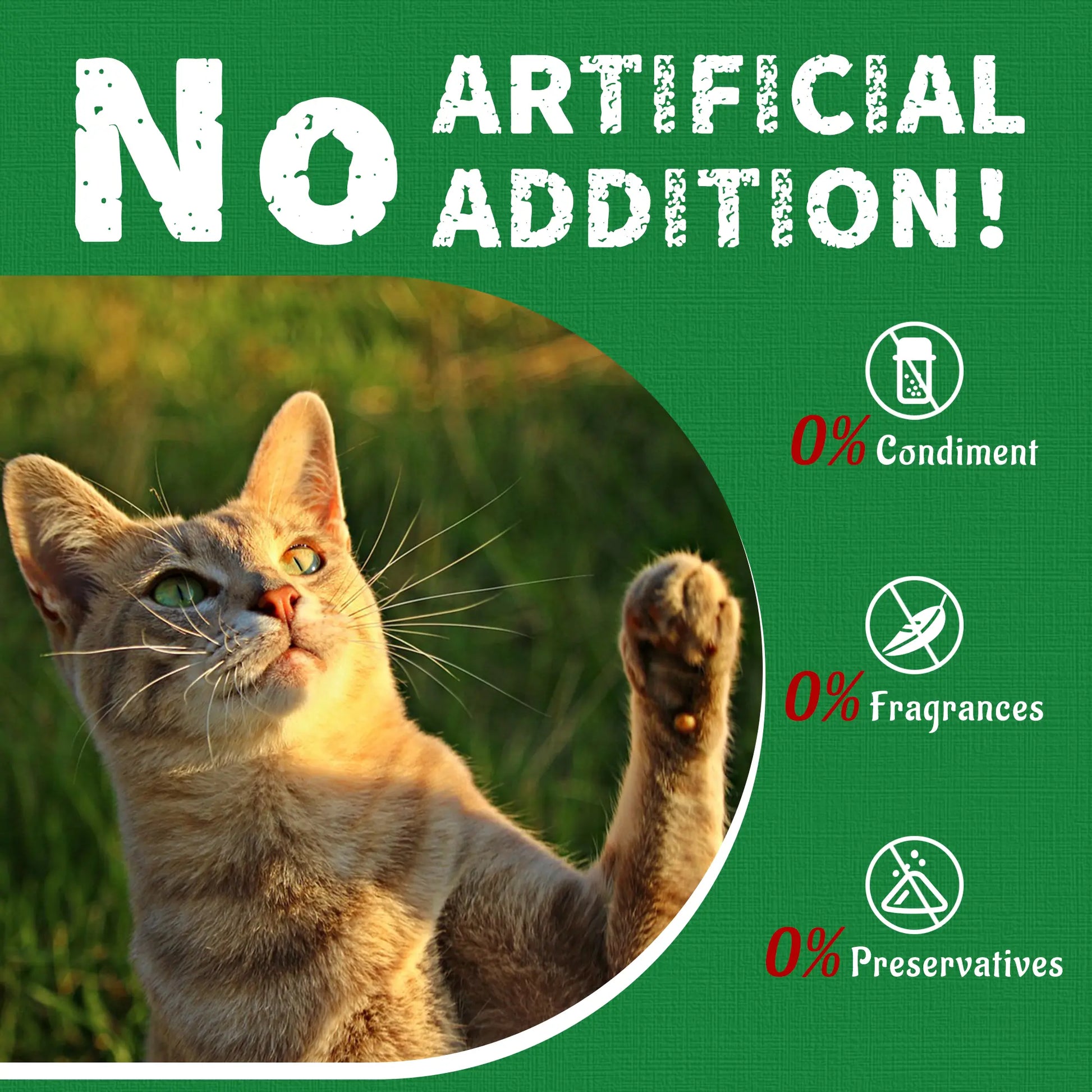 Just Try 2PCS Cat Grass Treats with Salmon & Catnip | Hairball Control and Training Treats | Teeth Cleaning Snack Reduce Plaque (13.4Oz, Salmon & Catnip Flavor)