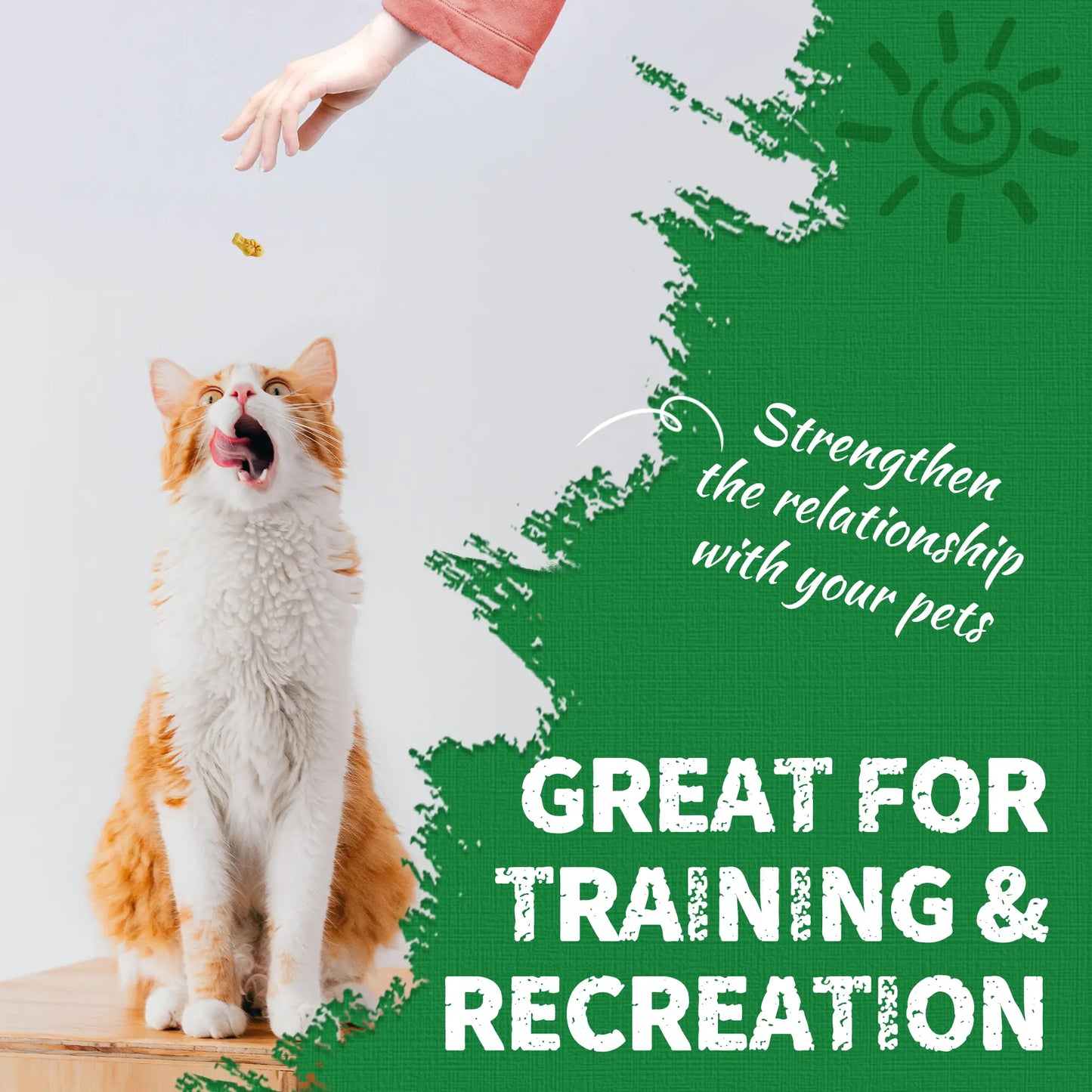 Just Try 2PCS Cat Grass Treats with Salmon & Catnip | Hairball Control and Training Treats | Teeth Cleaning Snack Reduce Plaque (13.4Oz, Salmon & Catnip Flavor)