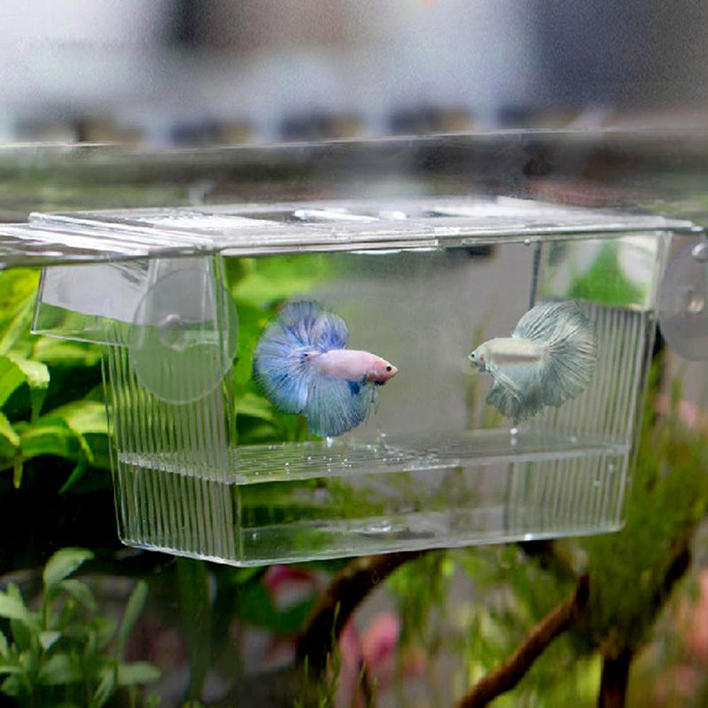 Acrylic Aquarium Fish Tank Incubation Box - Freshmodern Pet Store