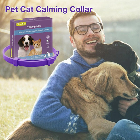 Dog Comfort Collar Cat Teddy Pet - Freshmodern Pet Store