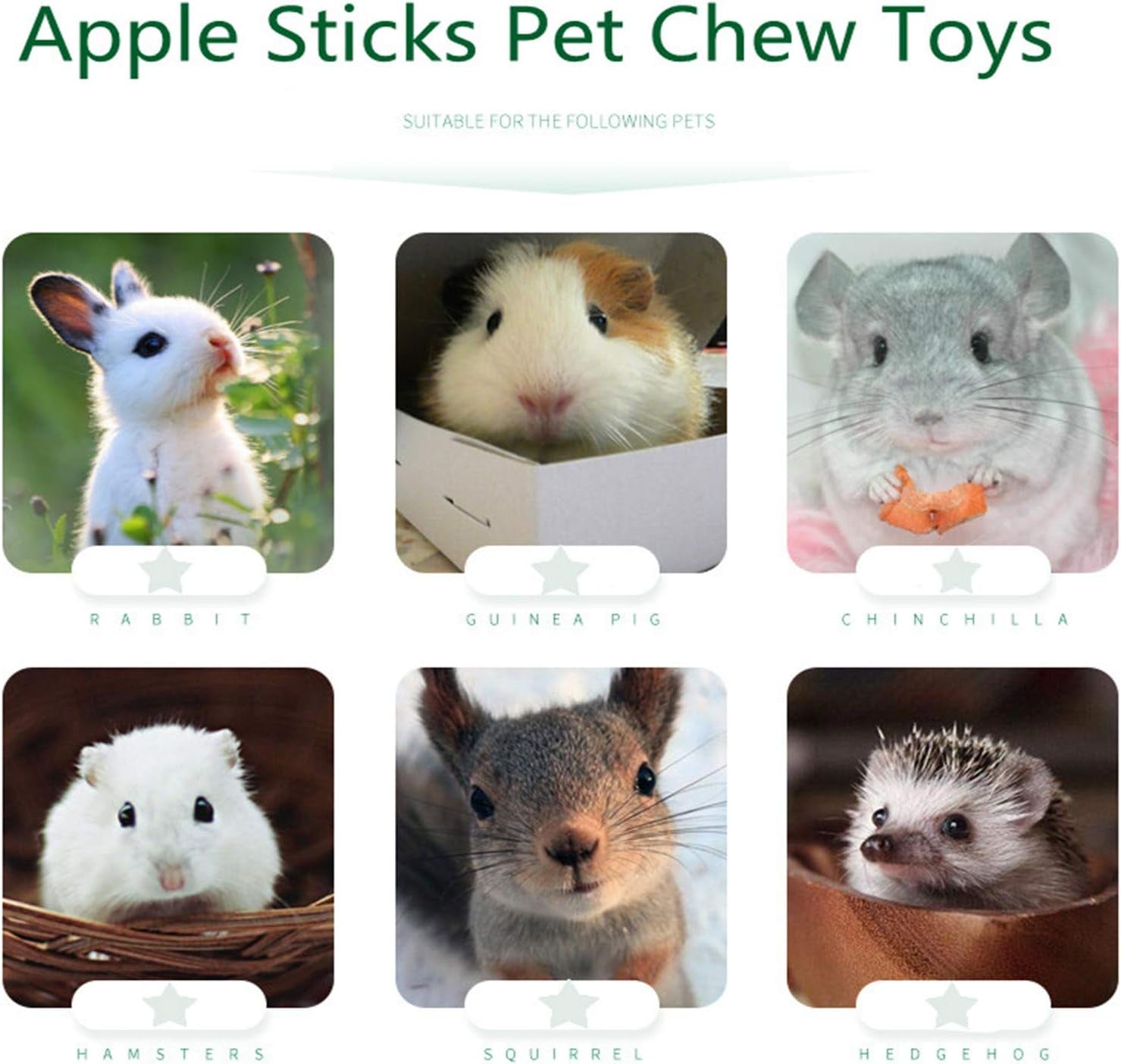 Apple Sticks Natural Organic Pet Snacks Chew Toys Rabbits Hamster Guinea Pig Squirrels Chinchilla Food Gerbil and Other Small Animal Pets for  (200G)