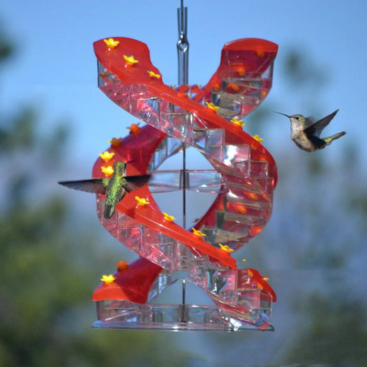 Spiral Climbing Ladder Hummingbird Feeder – Unique & Easy to Hang