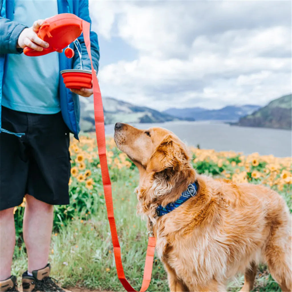 4-in-1 Durable Retractable Dog Leash 