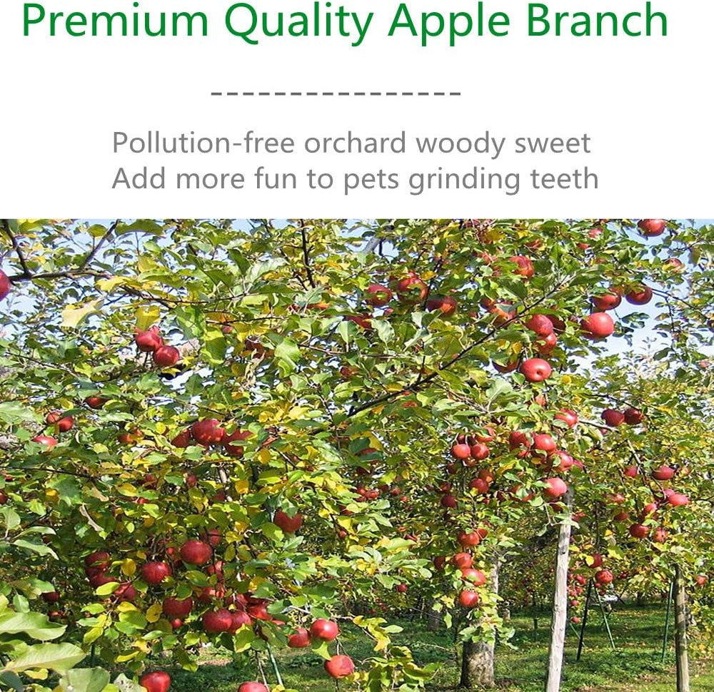 Apple Sticks Natural Organic Pet Snacks Chew Toys Rabbits Hamster Guinea Pig Squirrels Chinchilla Food Gerbil and Other Small Animal Pets for  (200G)