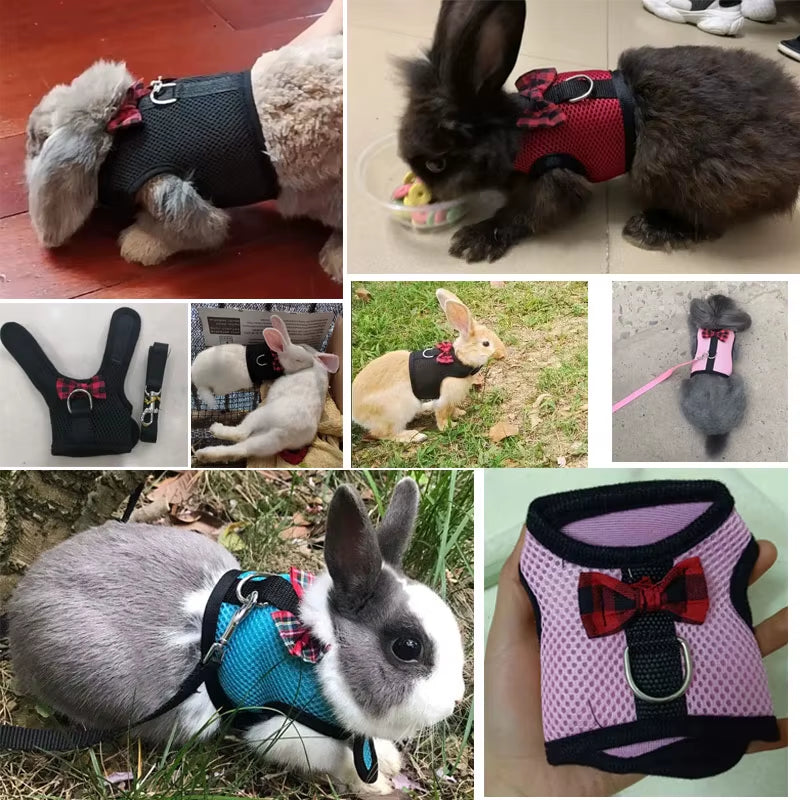 Mesh Soft Pet Rabbit Harness with Leash Strap for Hamster Rat Chinchillas Guinea Pig Small Animal Clothes Vest Rabbits Accessory
