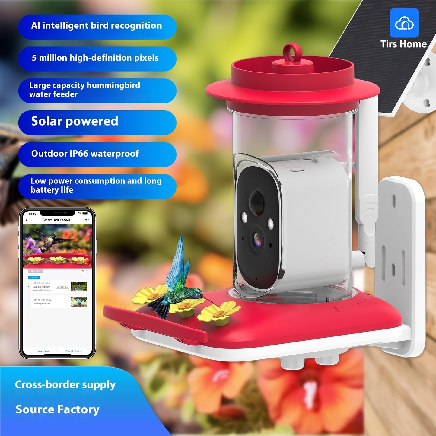 Smart HD Hummingbird Feeder – 5MP Camera for Clear Outdoor Viewing