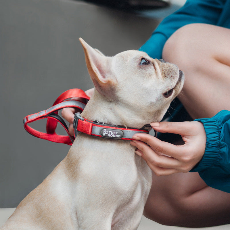 Dog Collar Pet Products Reflective Full Neck Traction Set - Freshmodern Pet Store