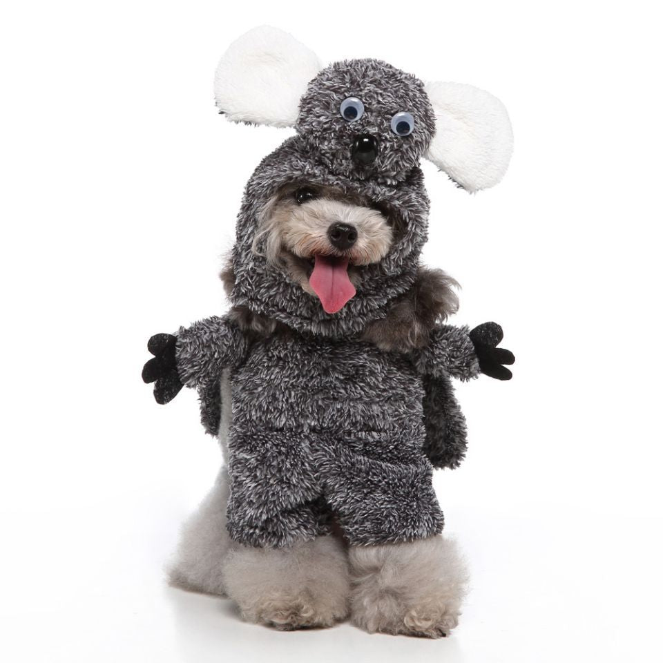 European & American Style Pet Clothing | Trendy and Comfortable Apparel for Dogs & Cats - Freshmodern Pet Store