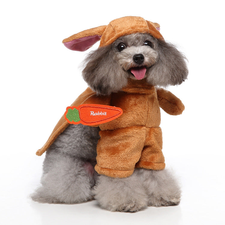 European & American Style Pet Clothing | Trendy and Comfortable Apparel for Dogs & Cats - Freshmodern Pet Store