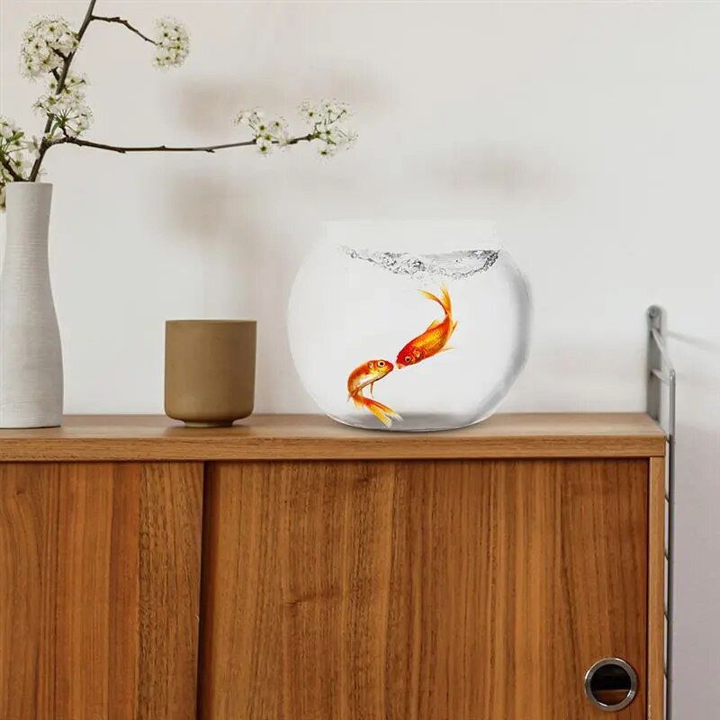 aquarium tank aquar
