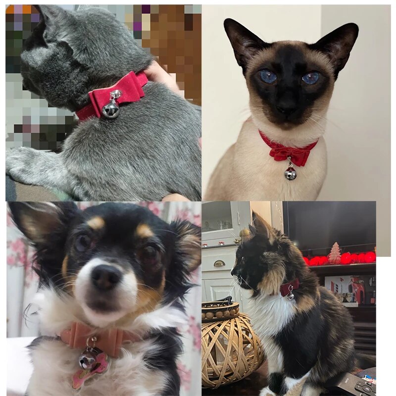 Bowtie Soft VelvetPet Dog Collar