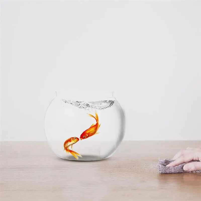 aquarium tank aquar