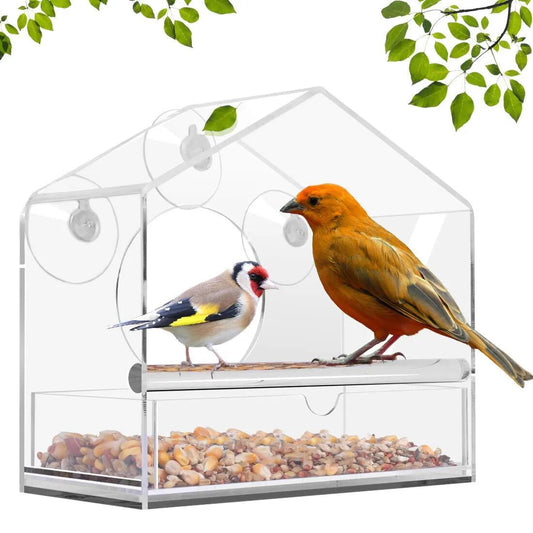 Bird Feeder Acrylic