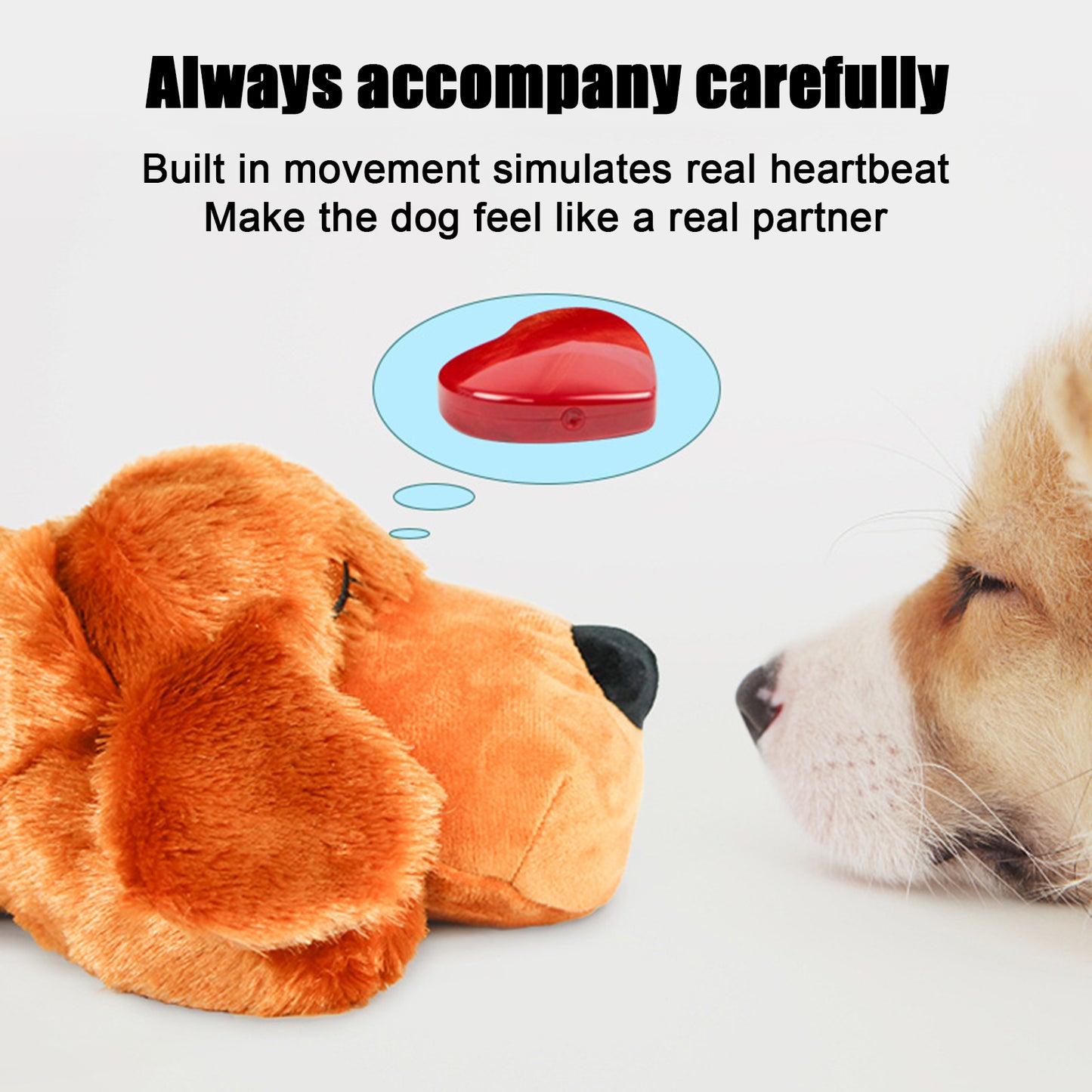 Fashion Hot Selling Pet Comfort Toys - Freshmodern Pet Store