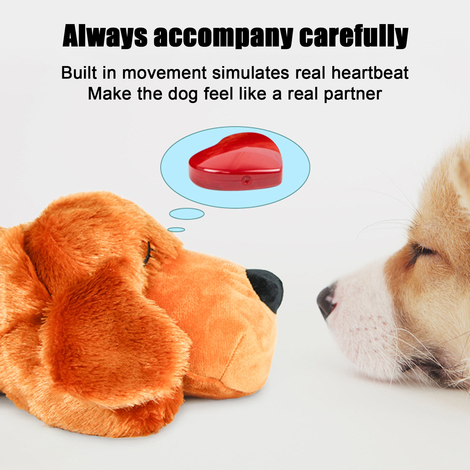 Fashion Hot Selling Pet Comfort Toys - Freshmodern Pet Store