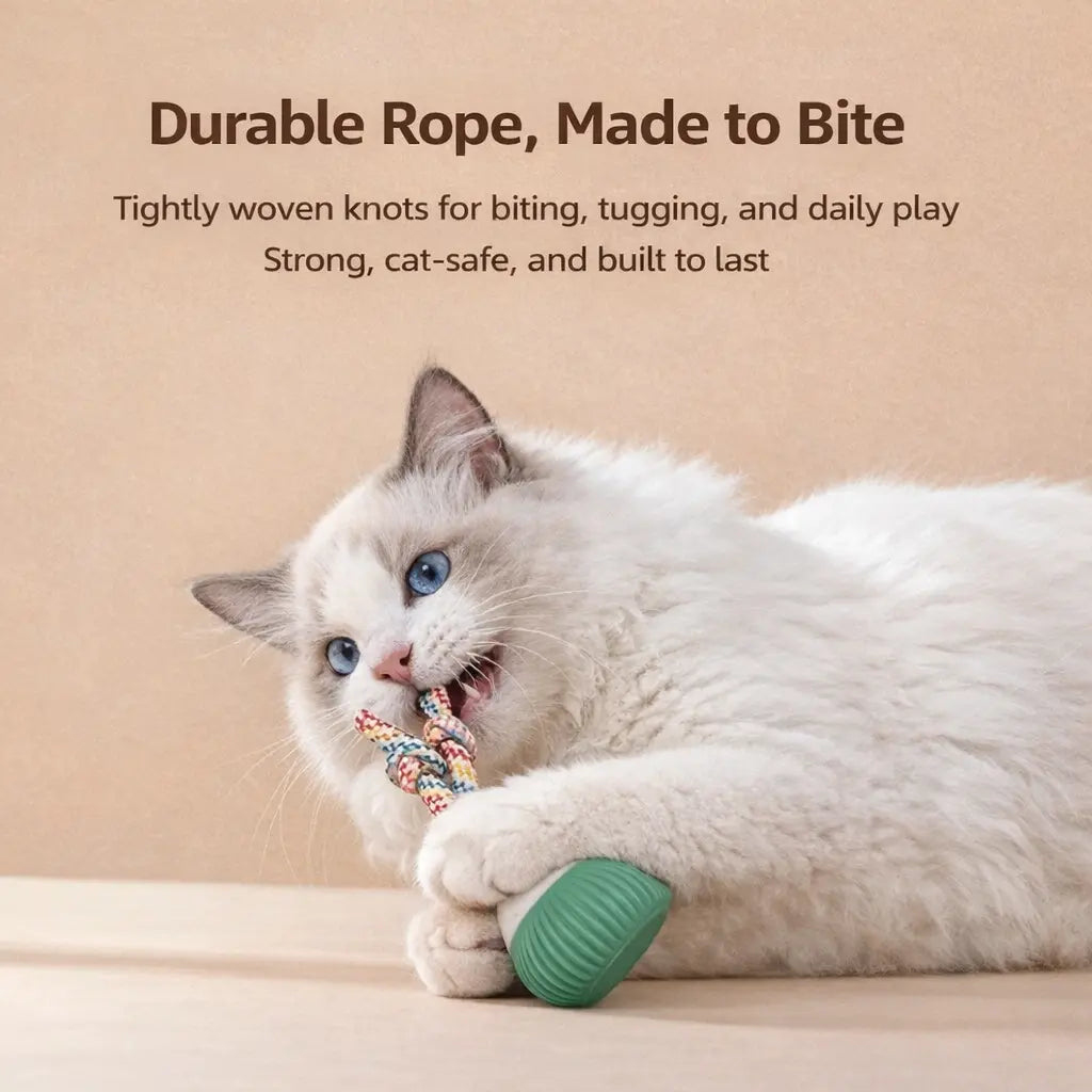 Smart Interactive Pet Ball with Sound & Chew Ropes - Keeps Indoor Cats Busy & Happy