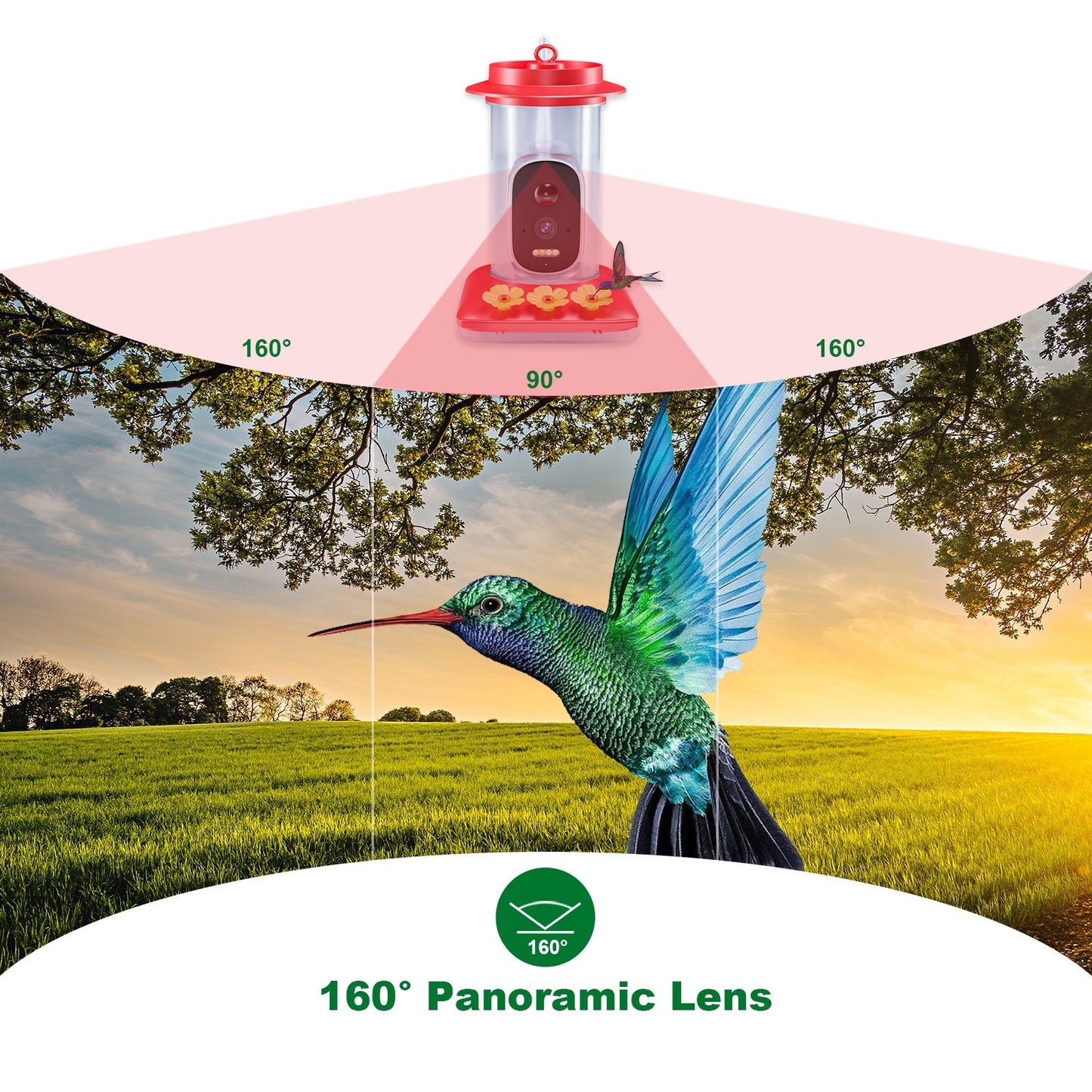 Smart HD Hummingbird Feeder – 5MP Camera for Clear Outdoor Viewing