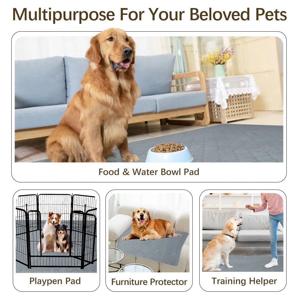 XAKING Washable Dog Pee Pads 2-Pack, Ultra Absorbent Reusable Puppy Training Pads, Non-Slip Leak-Proof Pet Mats for Crate & Floor, Dog Accessories Animal