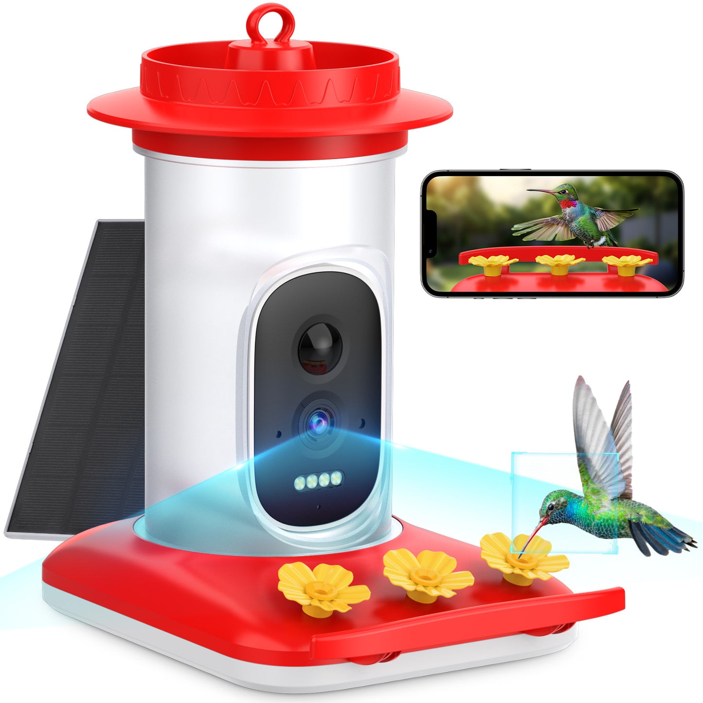 Smart HD Hummingbird Feeder – 5MP Camera for Clear Outdoor Viewing