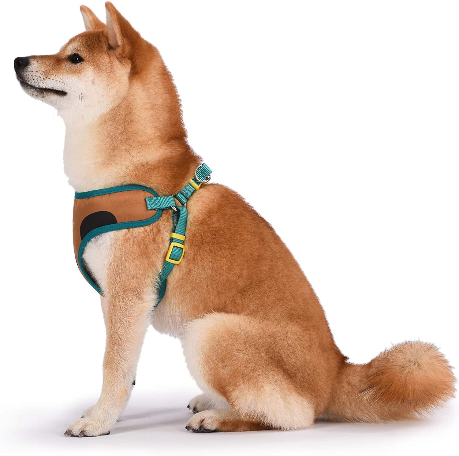 Warner Brothers Dog Harness | Soft and Comfortable Medium Dog Harness Dog Harness No Pull Tan and Blue Dog Harness | Cute Dog Harnesses for Medium Dogs, FF15831