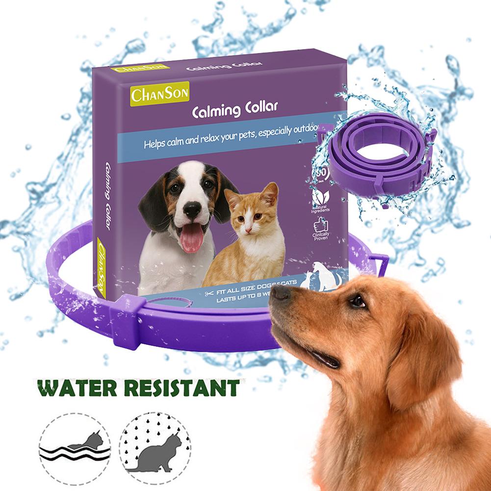 Dog Comfort Collar Cat Teddy Pet - Freshmodern Pet Store