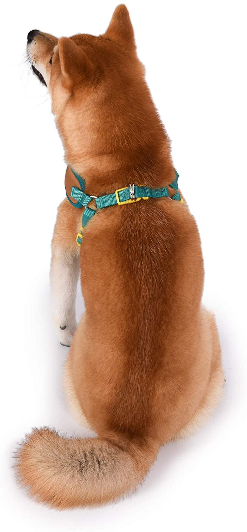 Warner Brothers Dog Harness | Soft and Comfortable Medium Dog Harness Dog Harness No Pull Tan and Blue Dog Harness | Cute Dog Harnesses for Medium Dogs, FF15831