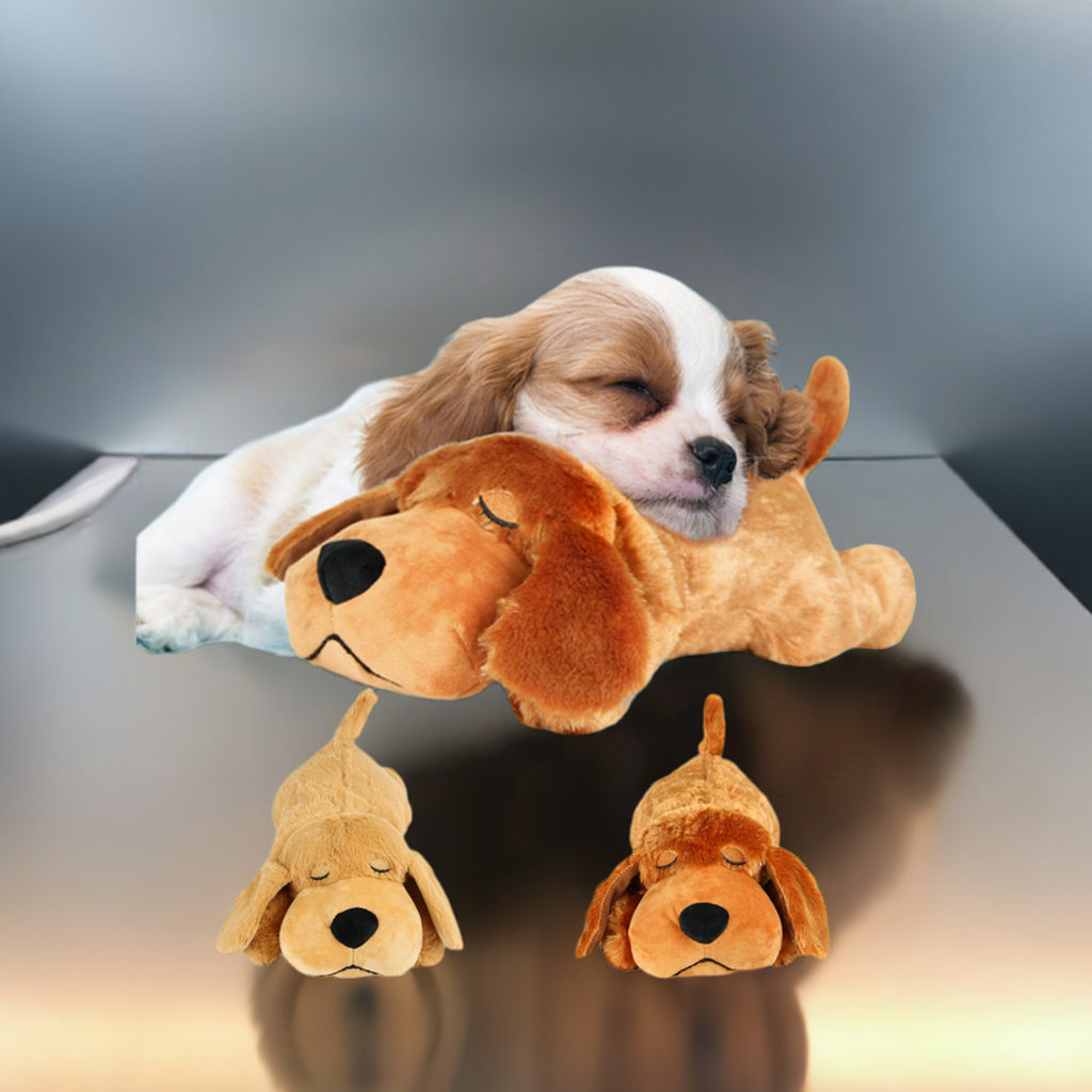 Fashion Hot Selling Pet Comfort Toys - Freshmodern Pet Store