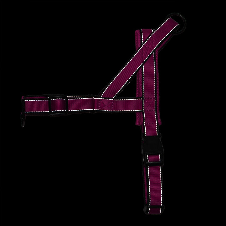 adjustable dog harness