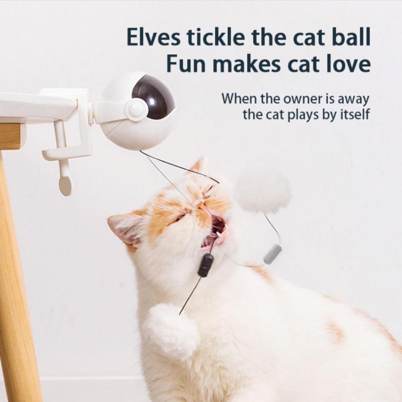 automatic lifting motion cat toy